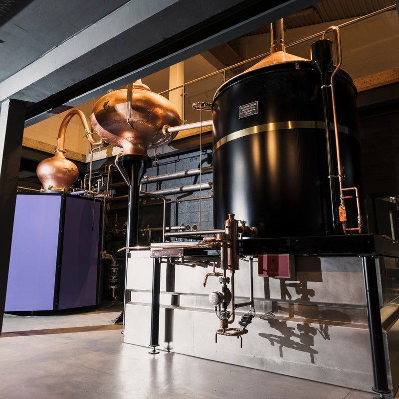 Our home in London now contains the knowledge, equipment and attitude